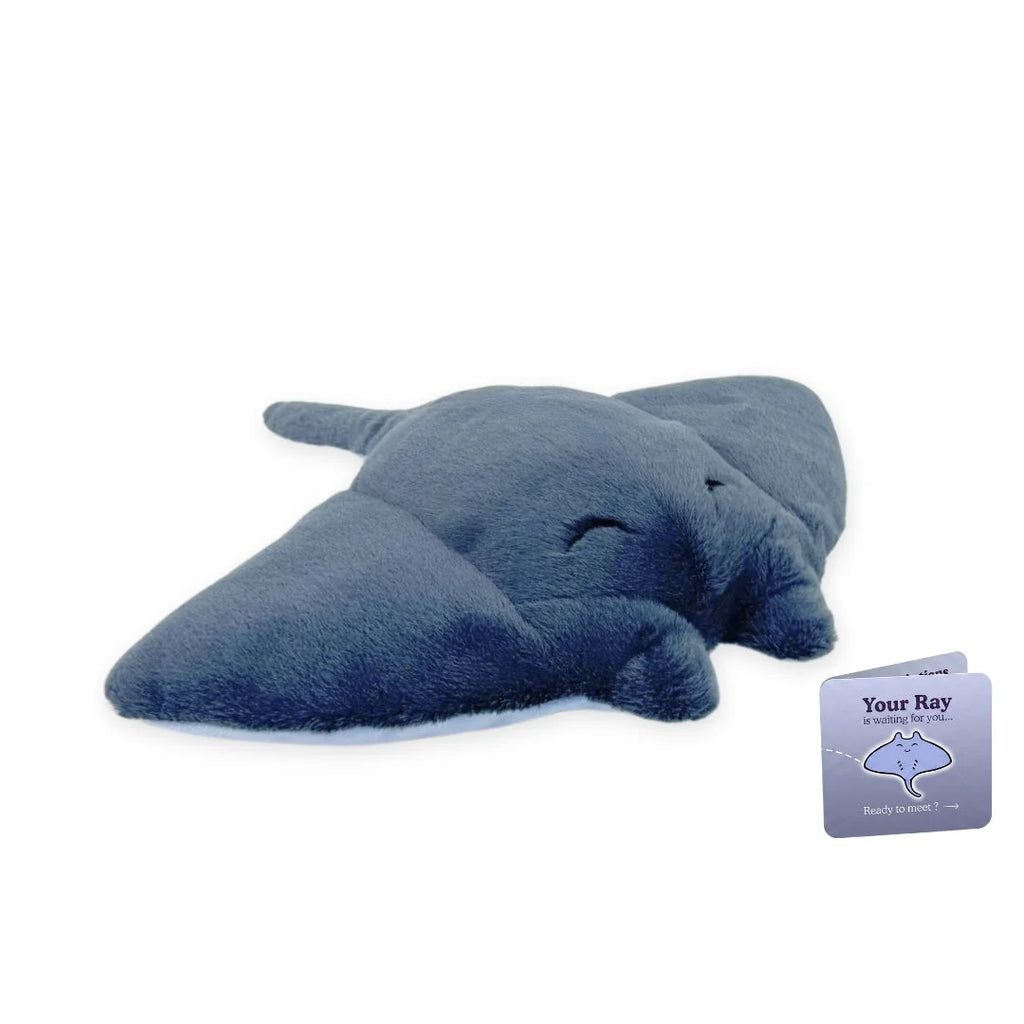 Sea Animal Adoption Plush — Manta Ray, photo 7